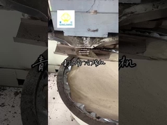 प्रतिध्वनित बीज तेल प्रेस