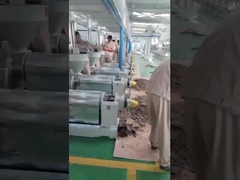 चिली तेल प्रेस मशीन