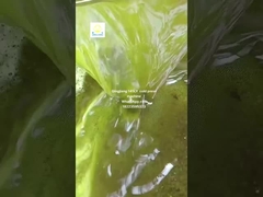 सूरजमुखी के बीज तेल प्रेस मशीन