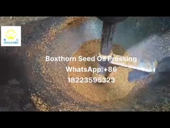 कोल्ड प्रेस्ड ऑयल एक्सट्रैक्टर