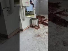 प्रेस कोल्ड ऑयल मशीन