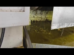 तेल मशीन प्रेस